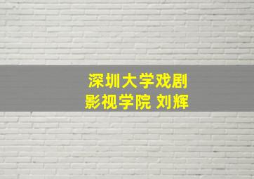 深圳大学戏剧影视学院 刘辉